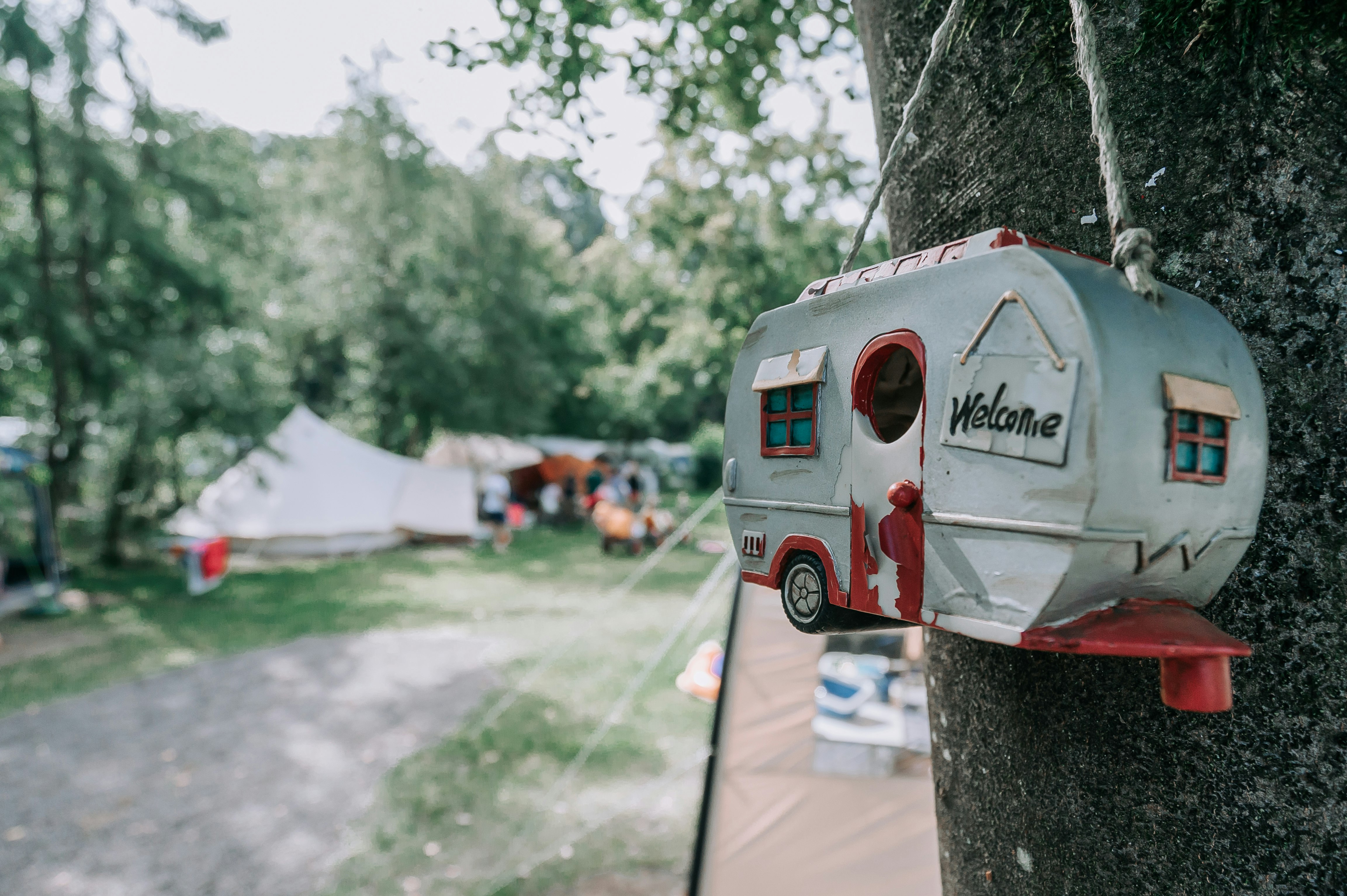 Camping Zwinderen  Camping Bosbad Zwinderen - Standplätze auf dem Campingplatz