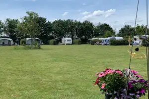 Camping Boschheide - Standplatzwiese auf dem Campingplatz