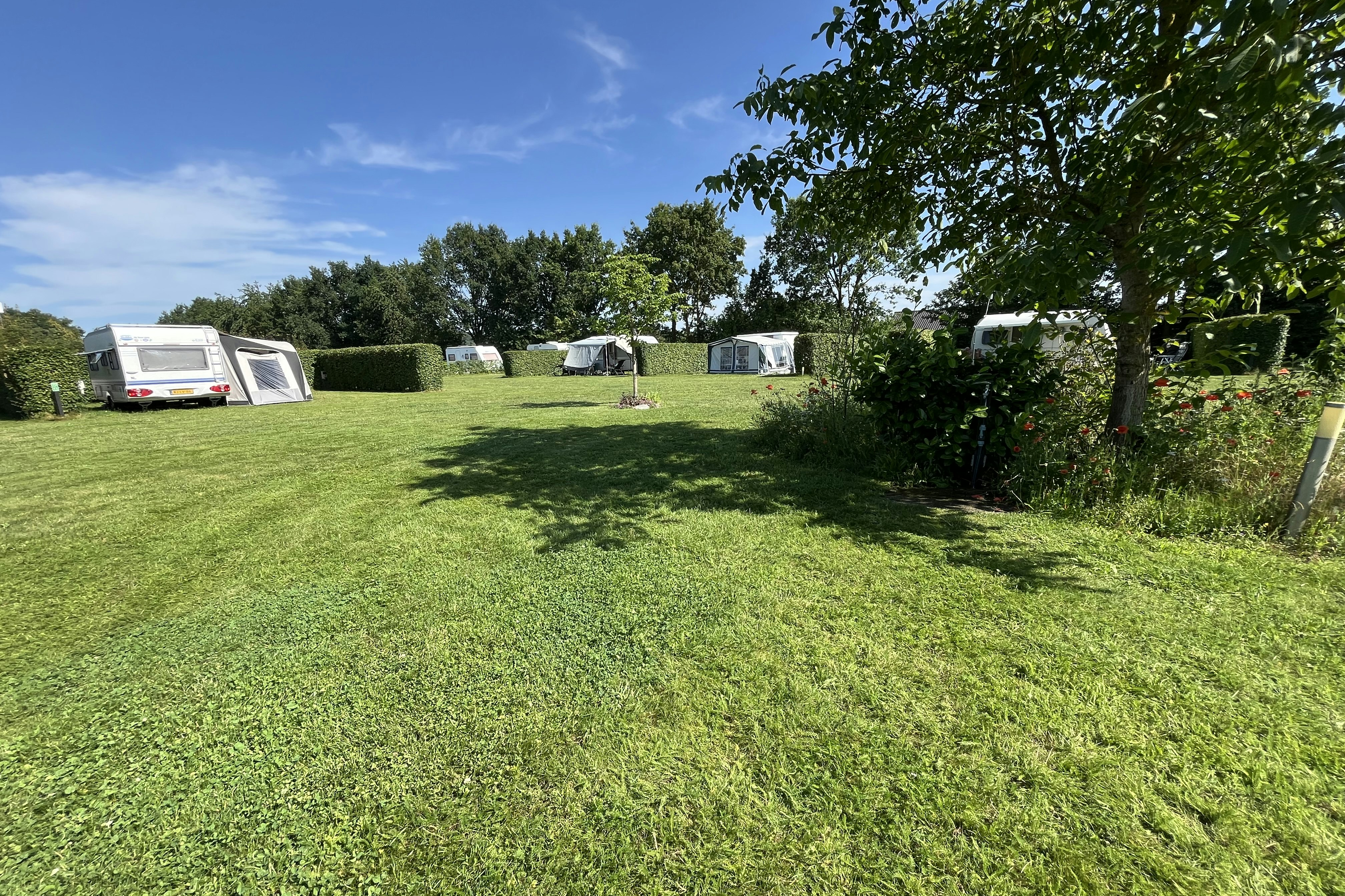 Grüner Campingplatz mit Rasenfläche, mehreren Wohnwagen und Zelten im Hintergrund, Hecken und Bäumen am Rand.