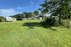 Grüner Campingplatz mit Rasenfläche, mehreren Wohnwagen und Zelten im Hintergrund, Hecken und Bäumen am Rand.