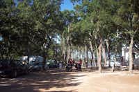 Camping Bosco Selva - Camper mit Fahrrädern auf dem Stellplatz für Wohnmobile