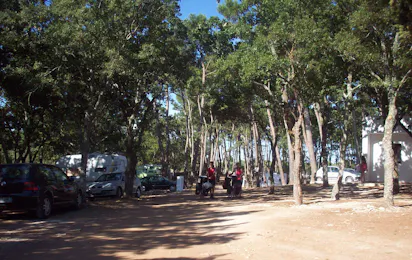Camping Bosco Selva