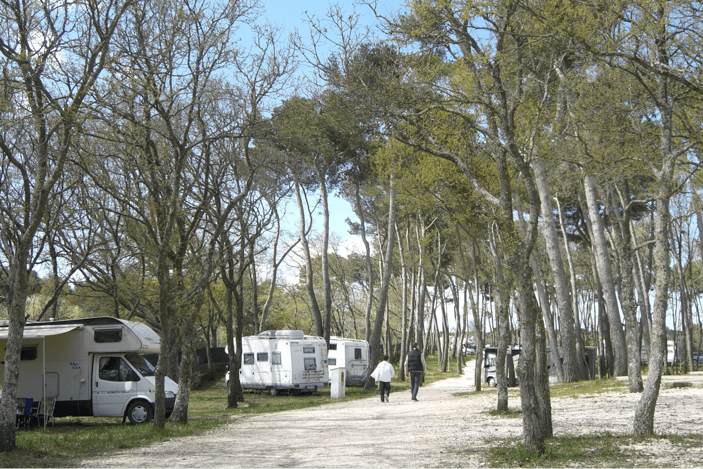 Camping Bosco Selva - Wohnwagenstellplatz vom Campingplatz zwischen Bäumen
