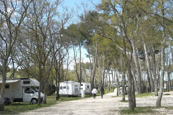 Camping Bosco Selva