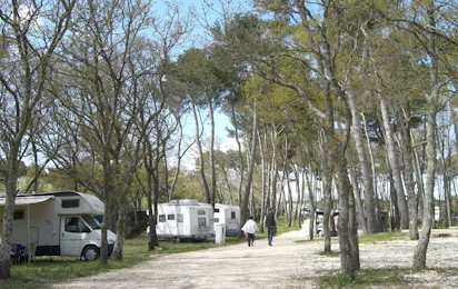 Camping Bosco Selva