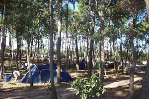 Camping Bosco Selva - Zeltplatz vom Campingplatz unter Bäumen
