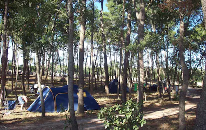 Camping Bosco Selva