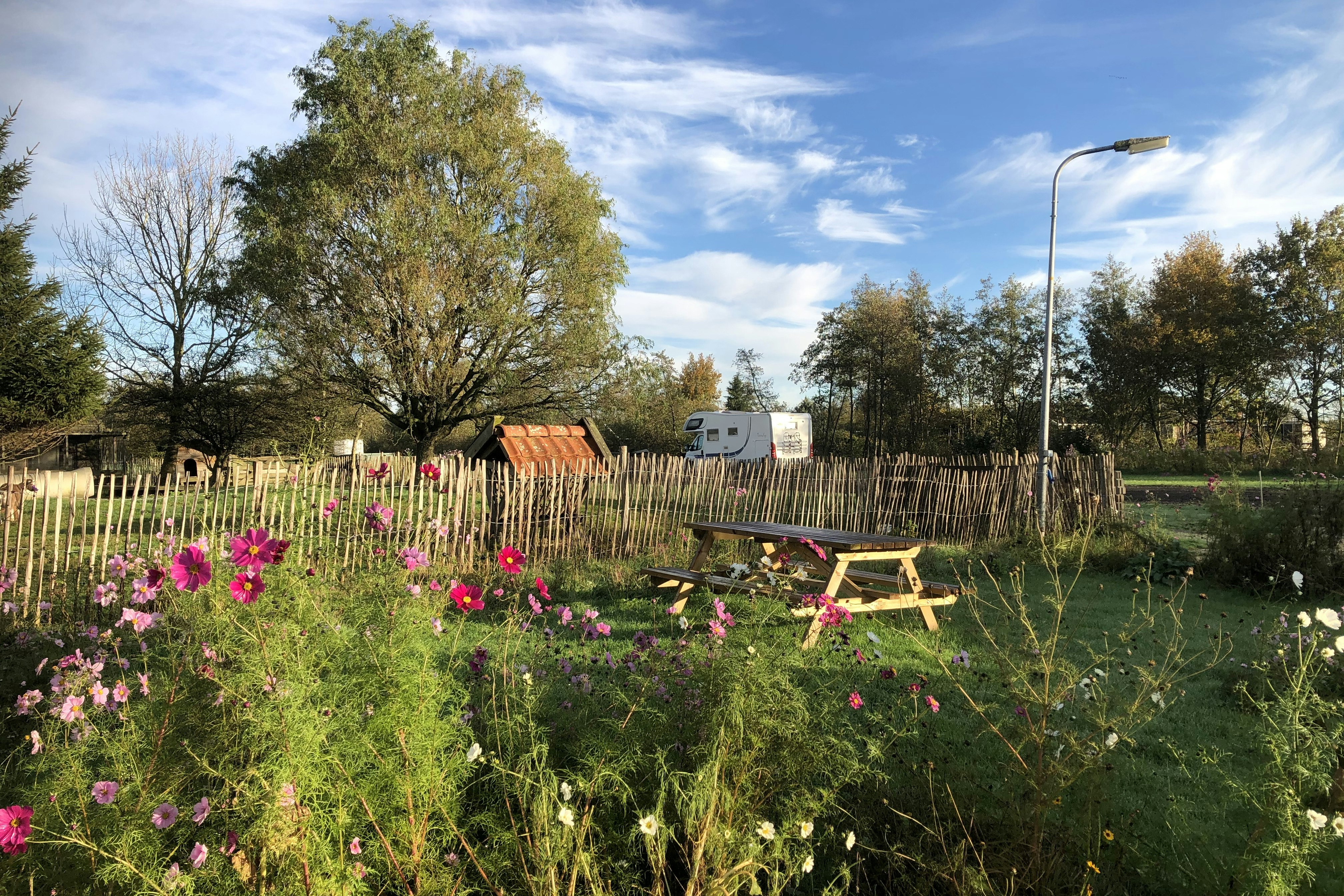 Camping Botniahiem  - Von Blumen umgebener Standplatz mit Picknickbank