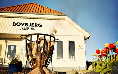 Bovbjerg Camping