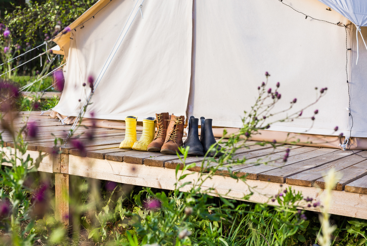 Camping Boven het Maaiveld