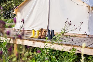 Camping Boven het Maaiveld