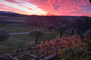 Blick über einen Campingplatz mit Wiese, Obstbäumen und Zaun im Vordergrund bei Sonnenuntergang.