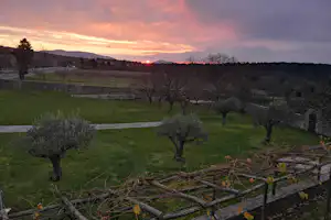 Grüner Campingplatz mit Obstbäumen und Hecken, Holzpfosten am Zaun und Wiese im Abendlicht vor Hügeln.