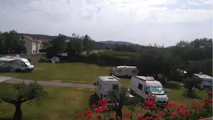 Wohnmobile und Campingbusse auf einem Stellplatz, Rasenfläche mit Wegen, Hecken und Bäumen, im Hintergrund Häuser und Hügel.