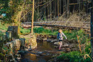 Camping Braunlage - Blick auf den Bach am Campingplatz