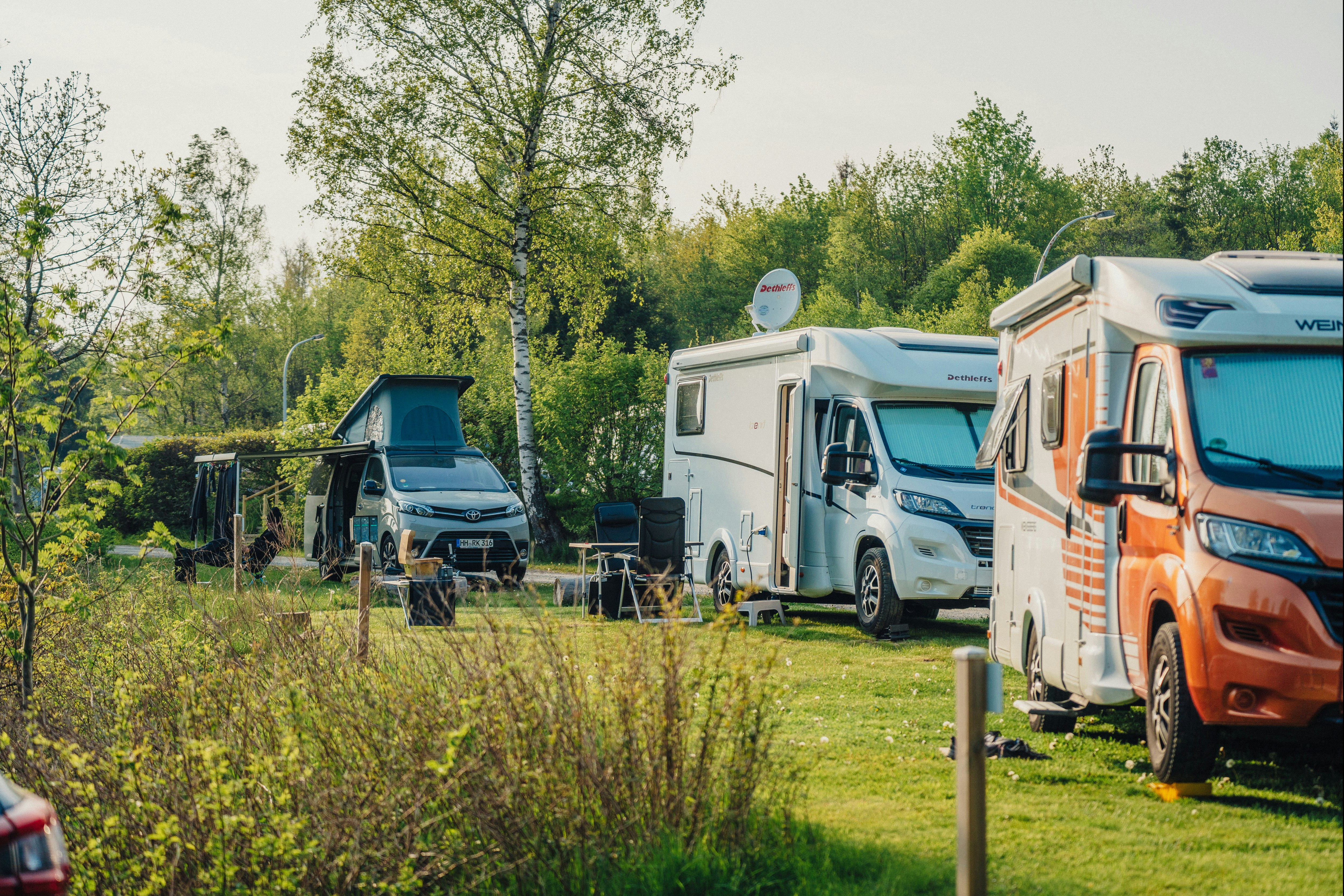 Camping Braunlage - Standplatzwiese auf dem Campingplatz