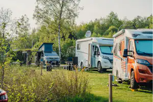 Camping Braunlage - Standplatzwiese auf dem Campingplatz