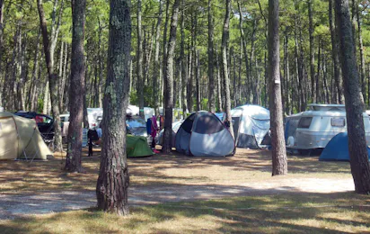 Camping Bremontier