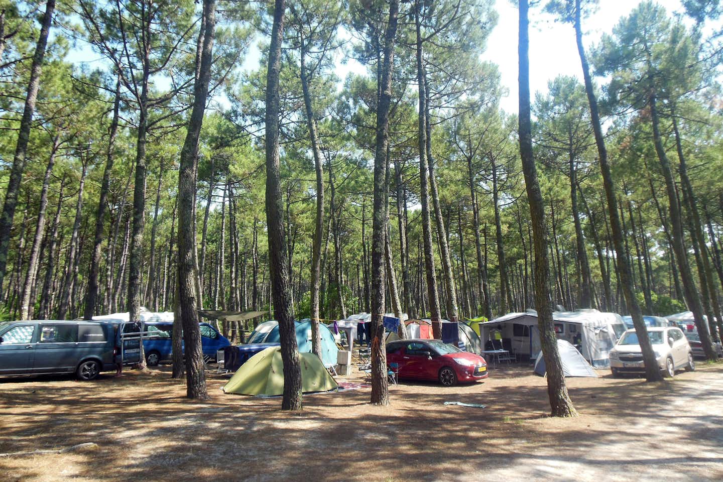 Camping Bremontier - Zelt und Stellplätze im Schatten der Bäume