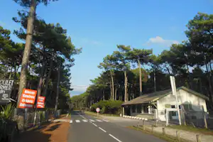 Campingallee mit Asphaltstraße, Schildern links und einem kleinen Gebäude rechts, umgeben von hohen Kiefern und blauem Himmel.