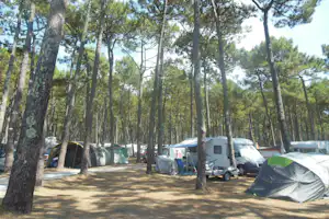 Campingplatz im Wald mit mehreren Zelten, Wohnwagen und einem Auto am Stellplatz zwischen hohen Bäumen.