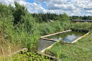 Naturteich am Campingplatz mit Holzstegen, Grasrand und dichtem Grün vor bewölktem Himmel.