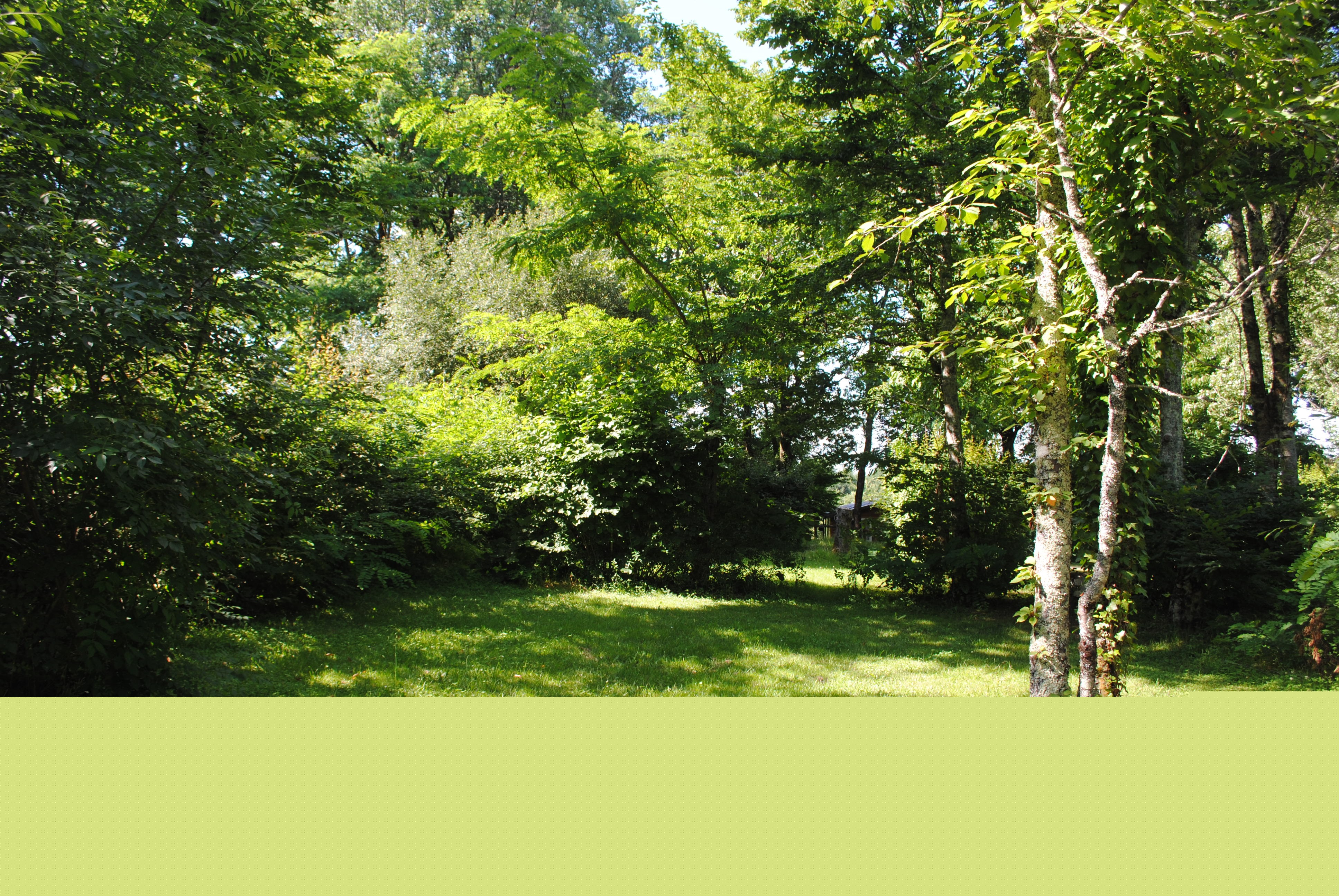 Camping Brin d'Amour