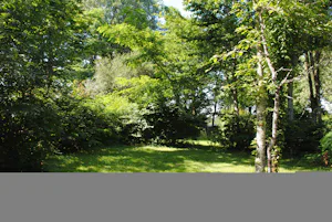 Camping Brin d'Amour