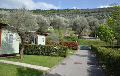 Camping Brione