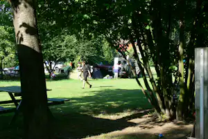 Campingplatz im Grünen: Zelte und geparkte Autos zwischen Bäumen, Rasenfläche und ein Tisch am Rand.