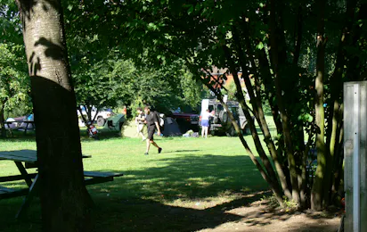 Camping Browarny (Nr. 201)