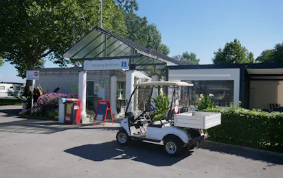 Campingplatz Buchhorn Arbon