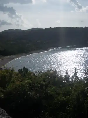 Bucht mit Küstenlinie, Wasser und Wellen, dahinter bewaldete Hügel und dichter Vegetation im Vordergrund.