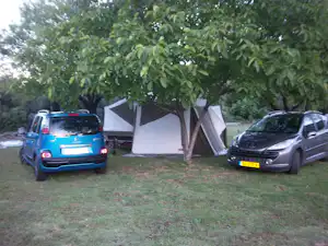 Zwei Campingzelte im Grünen, davor zwei geparkte Autos auf dem Rasen unter einem Baum.