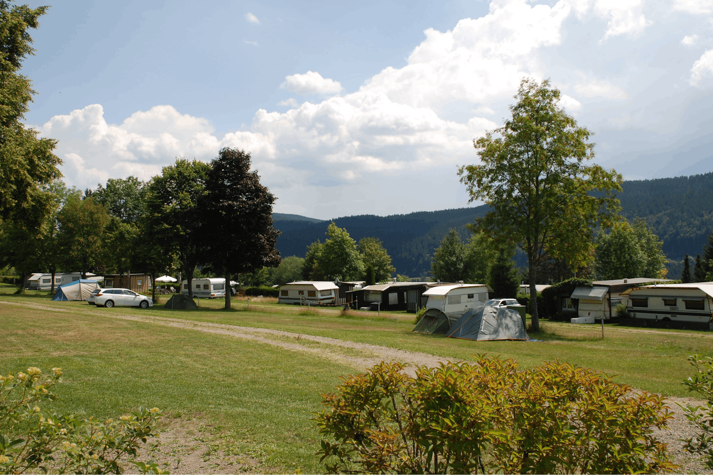 Camping Bühlhof  -  Wohnwagen und Zelte auf dem Stellplatz mit Blick auf grüne Berge