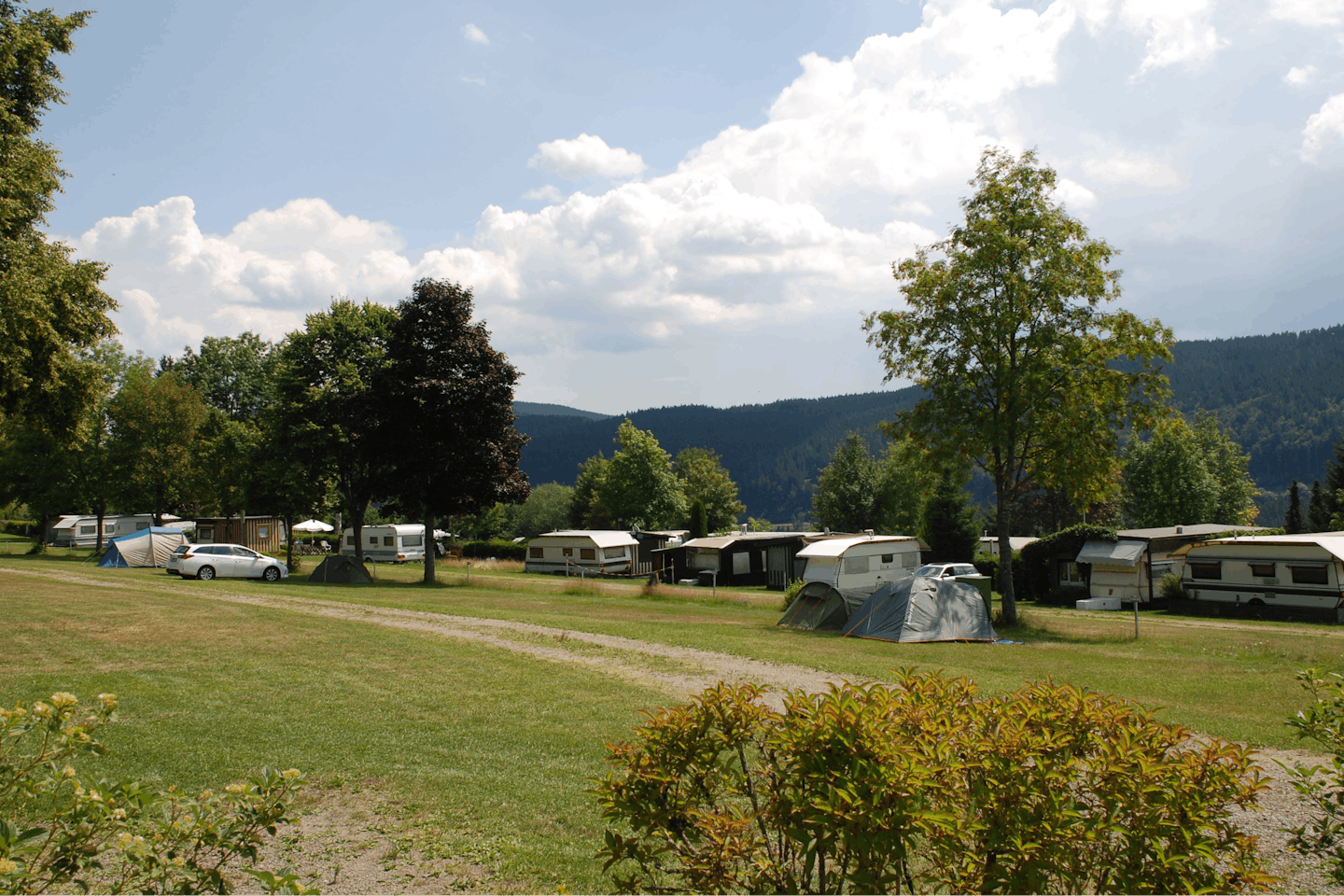 Camping Bühlhof  -  Wohnwagen und Zelte auf dem Stellplatz mit Blick auf grüne Berge