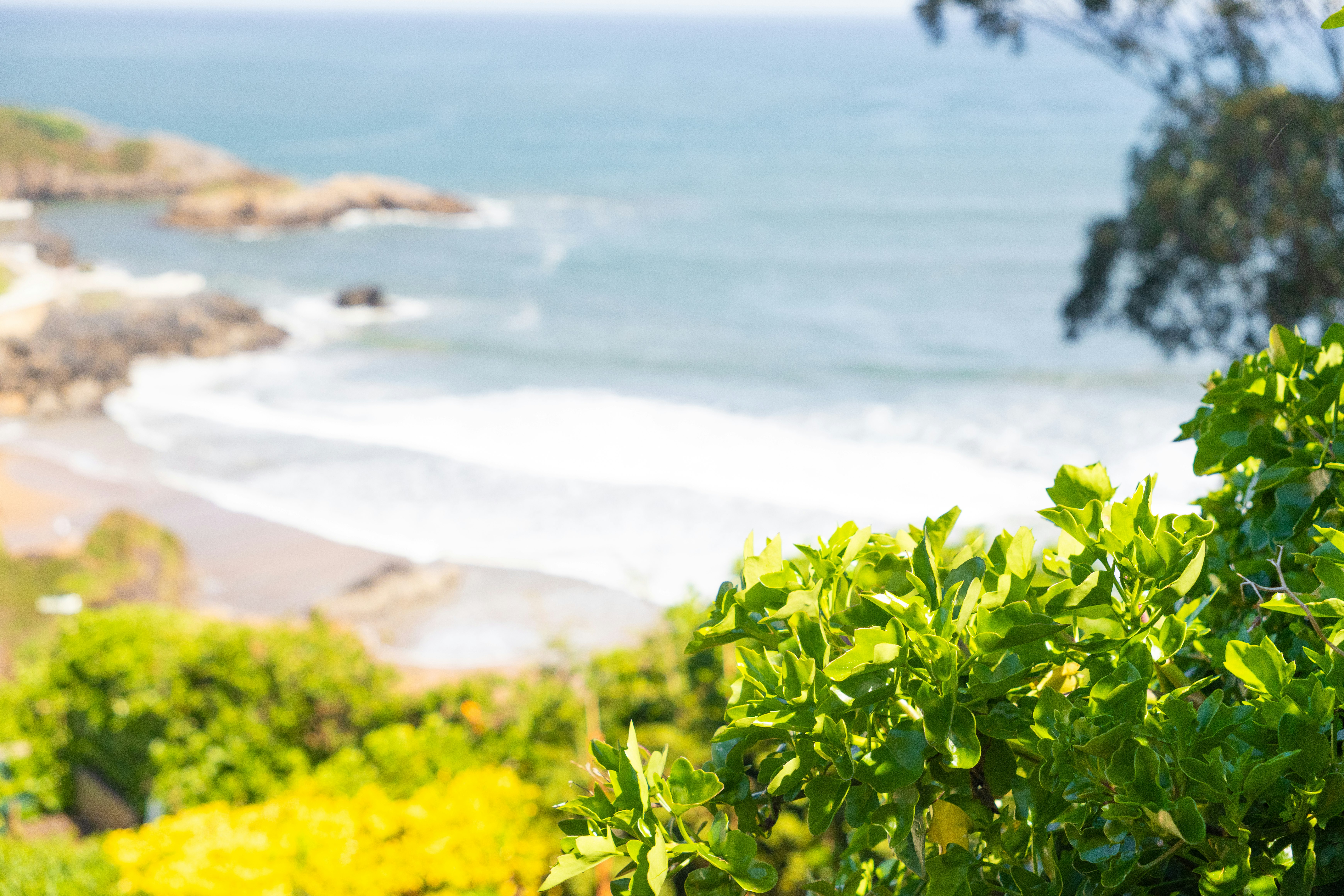 Camping Buenavista - Blick auf den Strand am Campingplatz