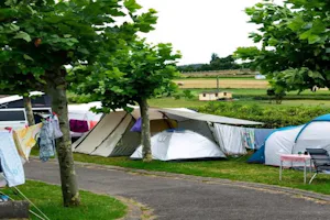 Camping Buenavista - Zeltplätze auf dem Campingplatz