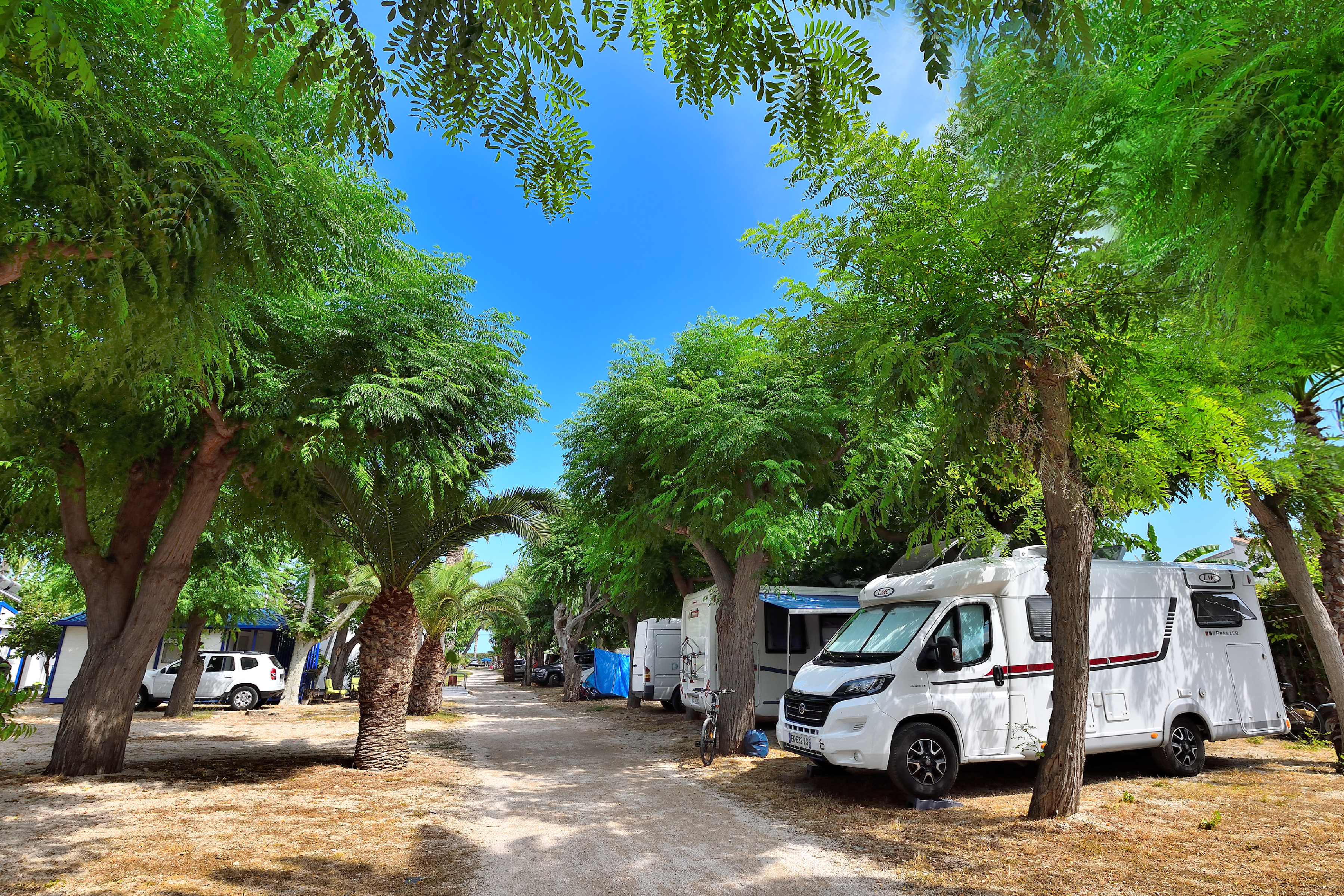 Camping & Bungalows Estanyet - Wohnwagen- und Wohnmobilstellplätzen zwischen Bäumen