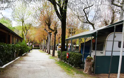 Camping Burlamacco