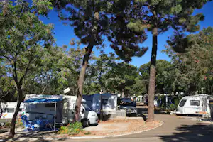 Camping Cabopino - schattiger Wohnmobilstellplatz