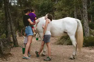 Camping Cal Paradís - Camper streicheln ein Pferd auf dem Campingplatz