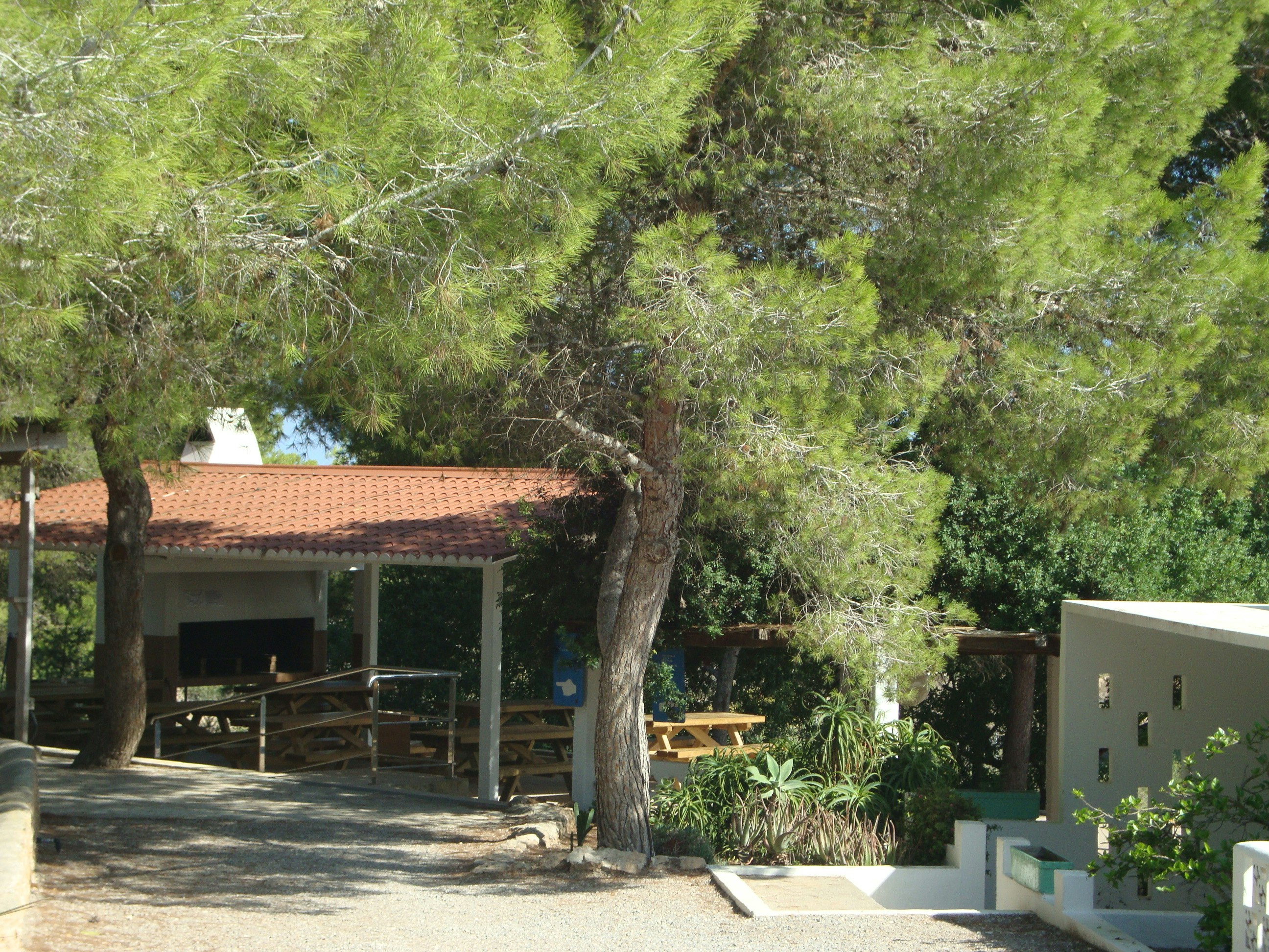 Camping Cala Bassa