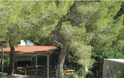 Camping Cala Bassa
