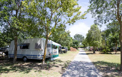 Camping Cala Gogo