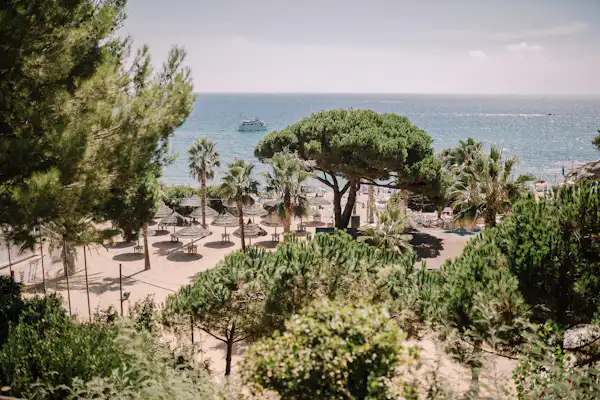 Camping Sènia Cala Gogo Internacional