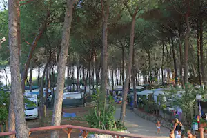 Camping Calabrisella - Wohnwagen- und Zeltstellplatz zwischen vielen Tannenbäumen
