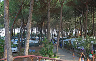 Camping Calabrisella