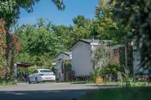 Wohnwagen und Auto am Campingplatz, neben Hecken und Bäumen an einer schmalen Straße.