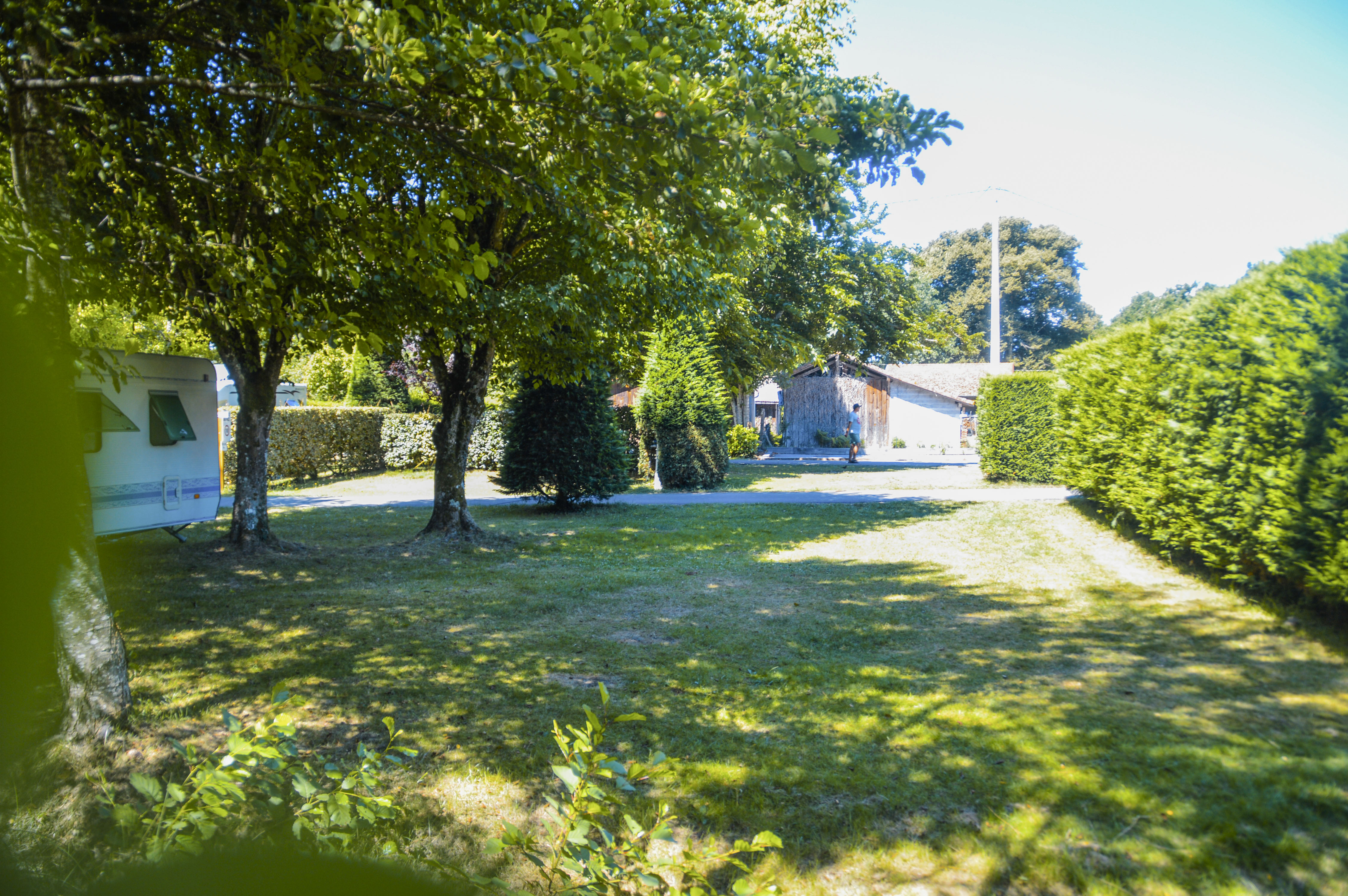 Grünes Campinggrundstück mit Rasen, Bäumen und Hecken; im Hintergrund Gebäude und ein Weg entlang der Anlage.